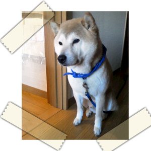 2011誕生日